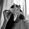 oneday_7771