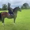 marnie_equine