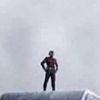 aristotle_p