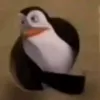 chebypeli123