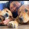 thegirlwiththe2goldens