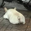 ayononeed