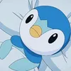 piplup1337