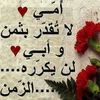 marwahassan1992