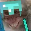 joshuapearson50