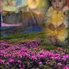user9204207143476