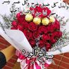 saadsaied12