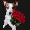jess_17233