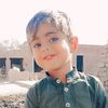 tahzeeb445337