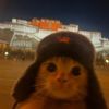 gamingwhilebored