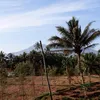 lanscity