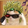 dio_kit100