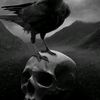ssri_36