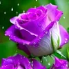 user59029532