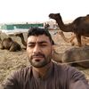 sajjadahmed4376
