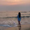 l.c.13.03