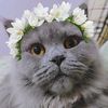 moominpaw