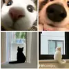 khadijah_855
