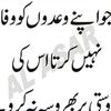 mohsin.raza4513
