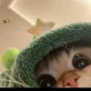 _user288999000