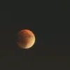 hawraa1_6