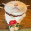 sunshinenenene.1