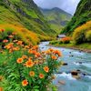 usermohammdi4352