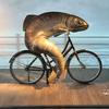 bike_fish
