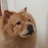 matty_nota