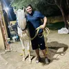 noumansaddiquecha
