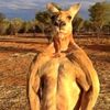 gabrilfjr