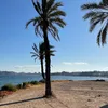 manu.leu06