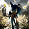 sonic12121234