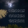 nasser_24i