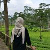 _amaliafn27