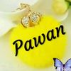 user49pawanalewaparjapti