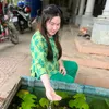 nhungtrang704