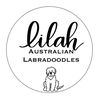 Lilah Australian Labradoodles
