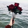 user6262720962800