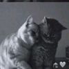 kiinneezzz