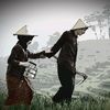 wahyudi_1213
