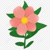 user85300668
