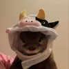 sonja ૮꒰˵• ﻌ •˵꒱ა