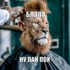 tvarkonchenayamraz