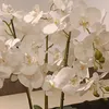 samirsalam69