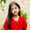halbast_88