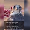 الأسلمي