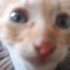 Vicent