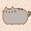 pusheen_fanpage0