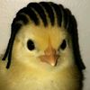 vanny_2210